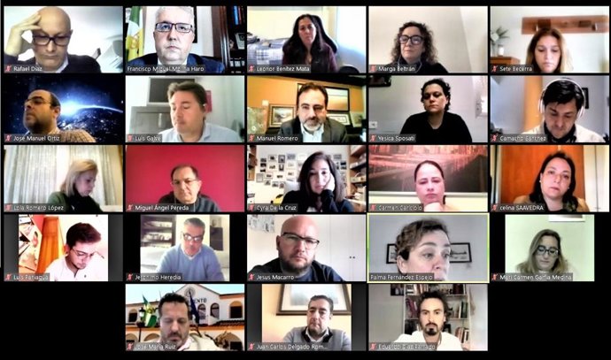 Pleno telemático de Bormujos