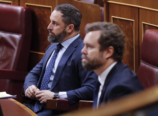 El líder de Vox, Santiago Abascal (i) y el portavoz de la Formación, Iván Espinosa de los Monteros (d) en el Pleno del Congreso