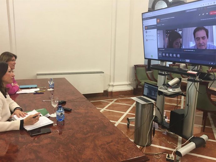 La delegada del Gobierno andaluz en Málaga, Patricia Navarro, y la responsable territorial de Fomento, Infraestructuras y Ordenación del Territorio, Carmen Casero, han mantenido hoy una vídeoconferencia con los representantes de la APC