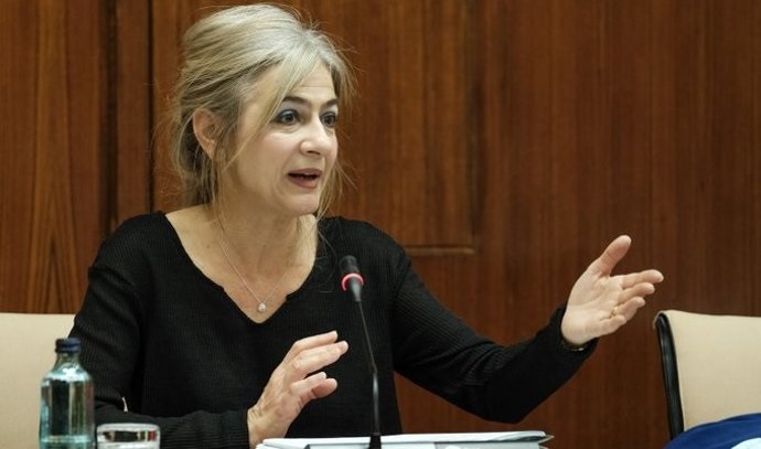 Patricia del Pozo en la Comisión de Cultura