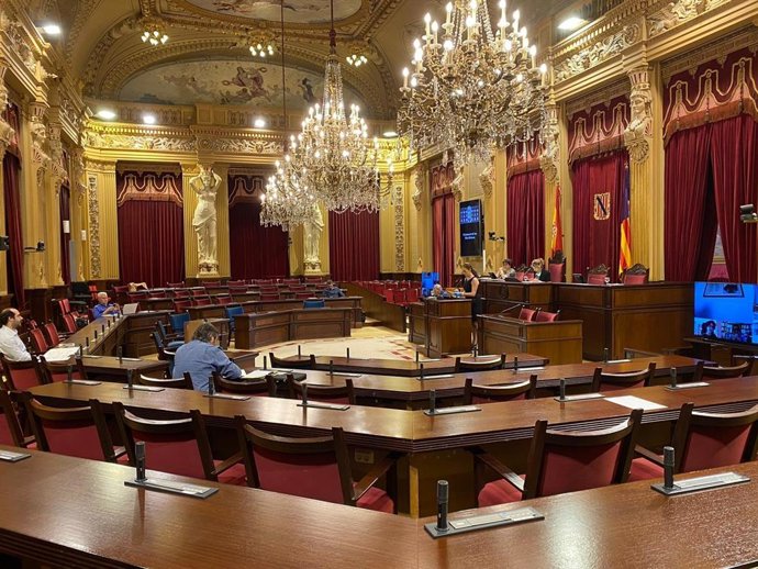 Comisión de Economía en el Parlament balear.
