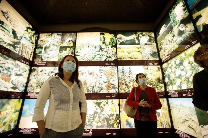 La consejera de Museos del Cabildo de Tenerife, Concepción Rivero, en la reapertura al público del MUNA