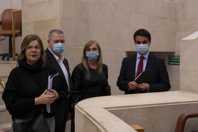 La directora de Tesosería de Cantabria y el del ICAF en la comisión parlamentaria del Covid