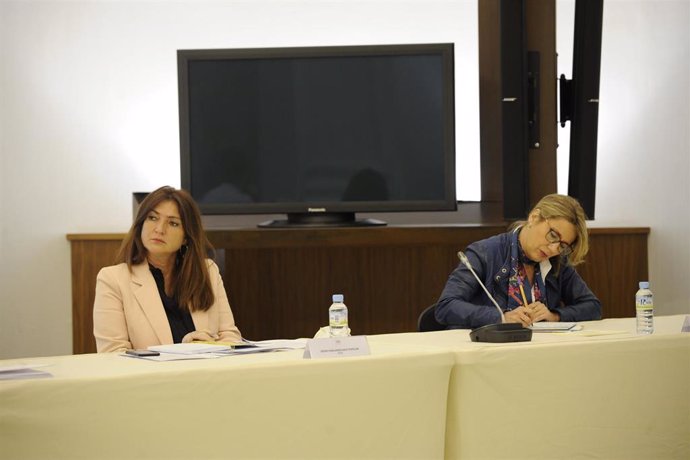 Las diputadas Pilar Pérez y Cristina Teniente, en la comisión de la Asamblea sobre la desescalada.