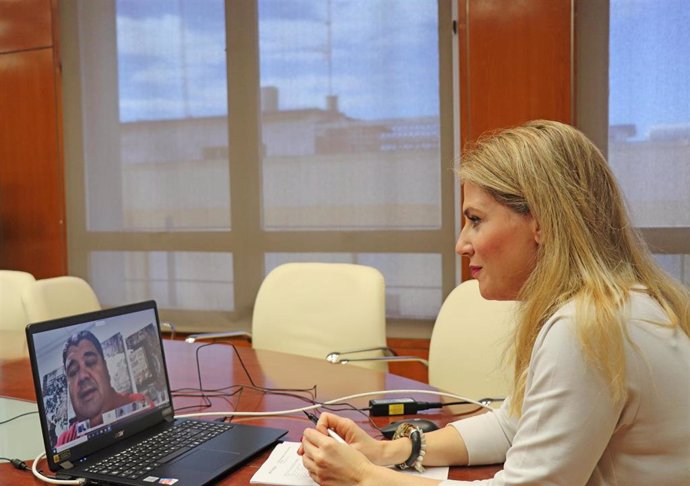 Ana Mestre en una reunión telemática con representantes de Femca