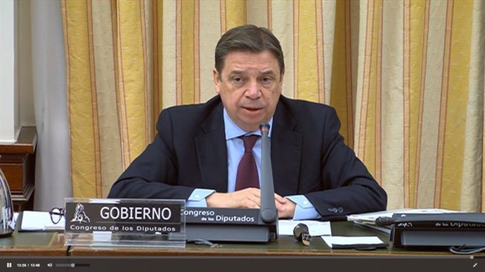 El ministro de Agricultura, Pesca y Alimentación, Luis Planas, en su comparecencia en el Congreso de los Diputados