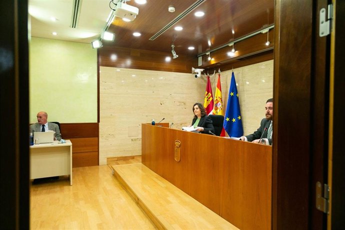 La consejera de Economía, Empresas y Empleo, Patricia Franco, comparece en las Cortes.