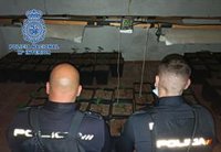 Descubren más de 100 plantas de marihuana en Almería por un conato de incendio en la red eléctrica