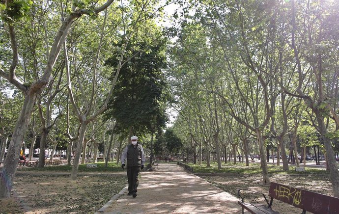 Un anciano con mascarilla pasea por un camino del Parque Calero, en el distrito de Ciudad Lineal de la capital, uno de los que el Ayuntamiento de Madrid ha abierto y en los que se permite pasear y hacer ejercicio, en Madrid (España), a 8 de mayo de 2020