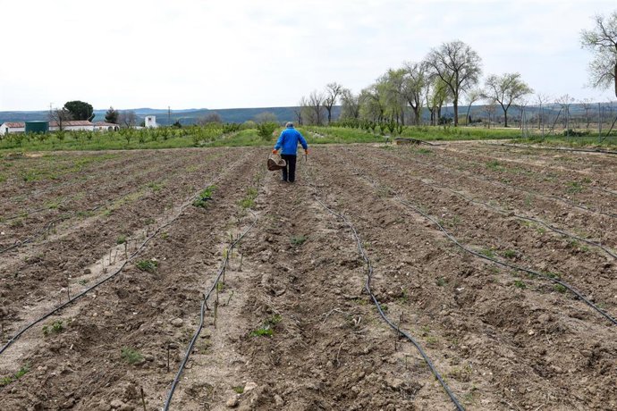 Un agricultor en un campo