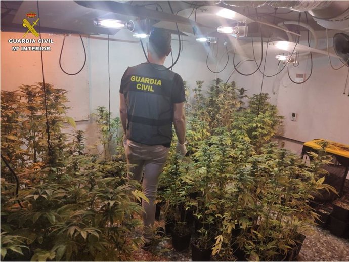 Habitáculo donde se cultivaba la marihuana.