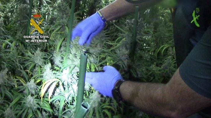 Vídeo de la noticia