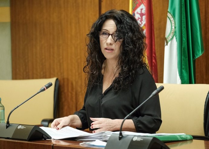 La consejera de Igualdad, Rocío Ruiz, este jueves durante su comparecencia parlamentaria. 