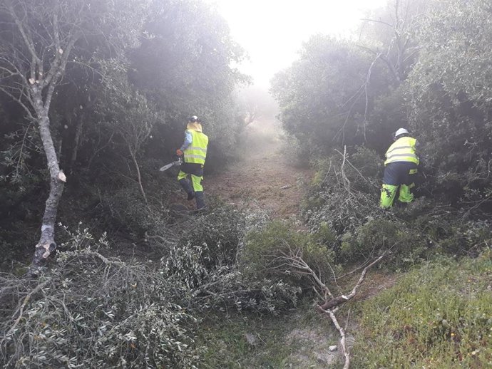 Obras del proyecto para la ruta ciclista en el Corredor Verde dos Bahías a su paso por el Parque Natural Los Alcornocales