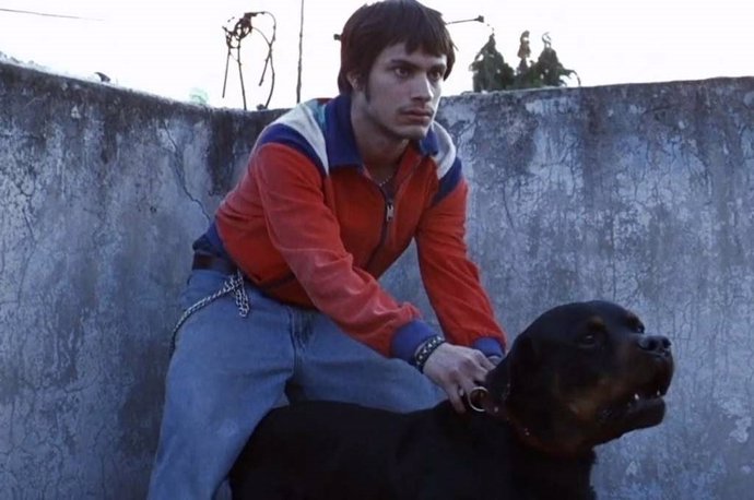 Imagen de la película Amores perros
