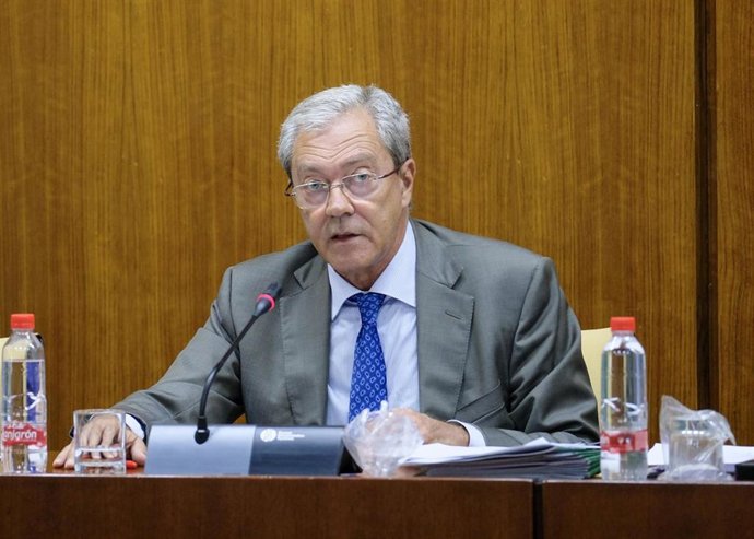 El consejero de Economía, Conocimiento, Empresas y Universidad, Rogelio Velasco, en comisión parlamentaria en una imagen de archivo.