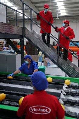 Moreno, en su visita a la cooperativa Vicasol