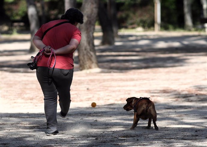 Una mujer pasea con su perro en el Parque Calero, en Madrid (España), a 8 de mayo de 2020.