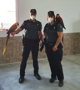 Los agentes con el animal recuperado
