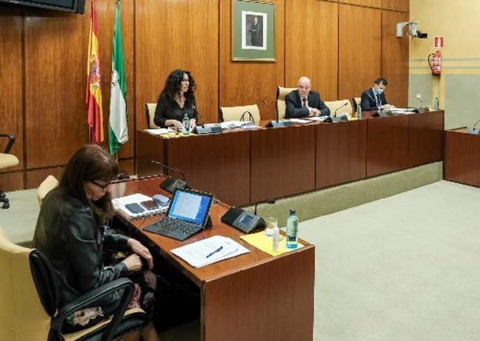 La consejera de Igualdad, Rocío Ruiz, este jueves durante su comparecencia parlamentaria en comisión. 