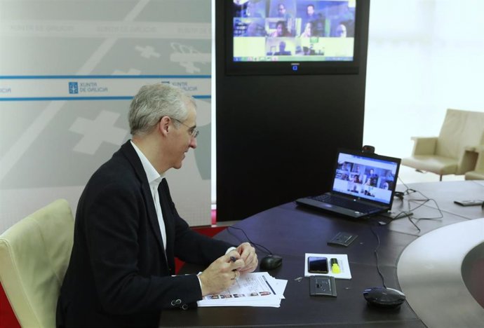 O conselleiro de Economía, Emprego e Industria, Francisco Conde, na reunión telemática