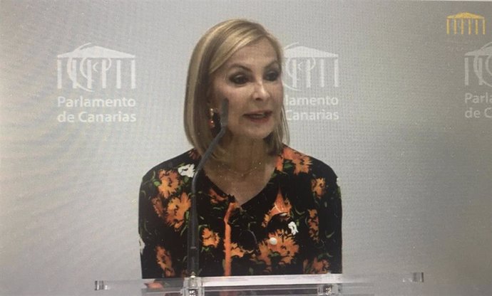 Presidenta del PP de Canarias, Australia Navarro, en rueda de prensa en el Parlamento de Canarias
