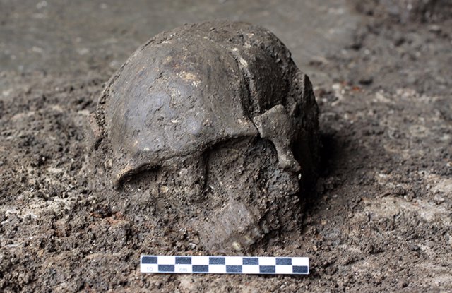 Cráneo de un habitante de la Cueva de Qihe, de hace 8.400 años