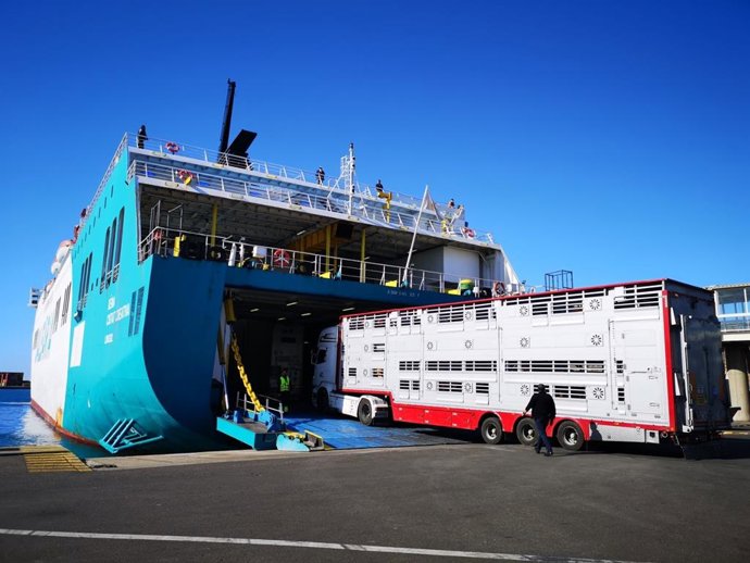 Camión de ganado embarca en un ferri en el puerto de Almería