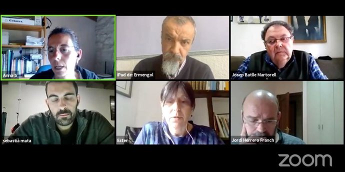 Pleno telemático en Mald (Lleida)