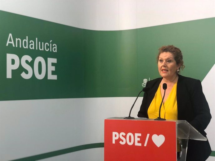 La secretaria de Organización del PSOE de Cádiz y parlamentaria andaluza, Araceli Maese, en rueda de prensa