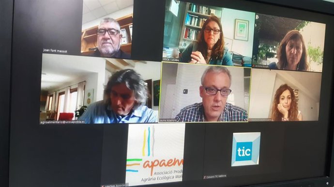 Participantes en la reunión telemática.