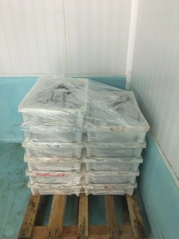 Intervenidos 88 kilos de pescadilla en una cámara frigorífica no destinada para la pesca declarada, depositados en la Lonja de Ribeira.