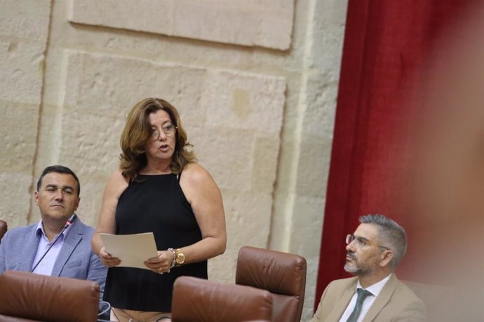 La parlamentaria andaluza de Ciudadanos Mar Hormigo.