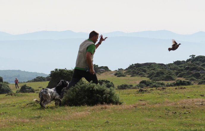 La Federación Galega de Caza celebra que se permita la actividad a partir del pr