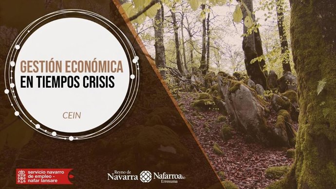 Uno de los webinares que ofrecerá esta semana el Servicio Navarro de Empleo