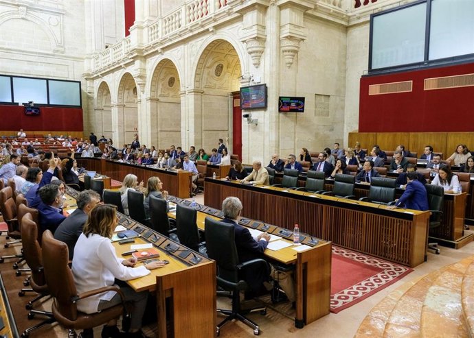 El Pleno del Parlamento andaluz antes de la crisis provocada por el coronavirus.
