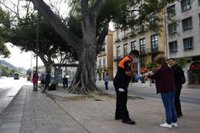 Más de 2,6 millones de habitantes de Málaga y Granada se unen el lunes al resto de Andalucía en la Fase 1 de desescalada