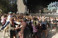 Los pogos nos harán libres