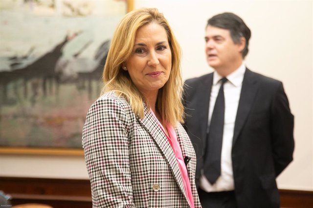 La diputada del PP Ana María Beltrán Villalba,.