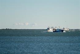 Coronavirus.- La Generalitat destina un millón a dotar al sector pesquero de EPI