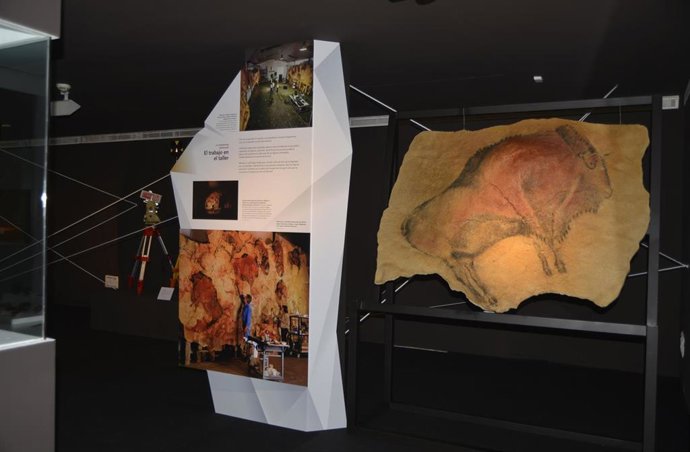 Exposición Museo Altamira. Archivo