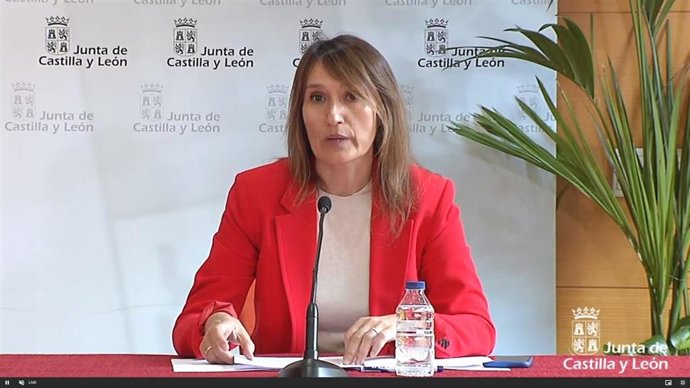 Captura de la comparecencia telemática de la consejera de Educación.