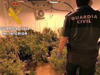 Detenido en Almería tras sufrir el intento de robo de una plantación de marihuana por falsos guardias civiles
