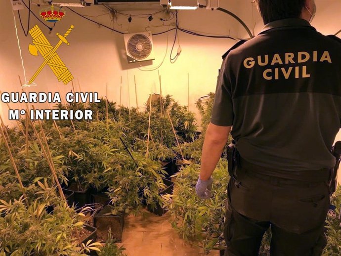 Marihuana intervenida en una casa de Benahadux (Almería)