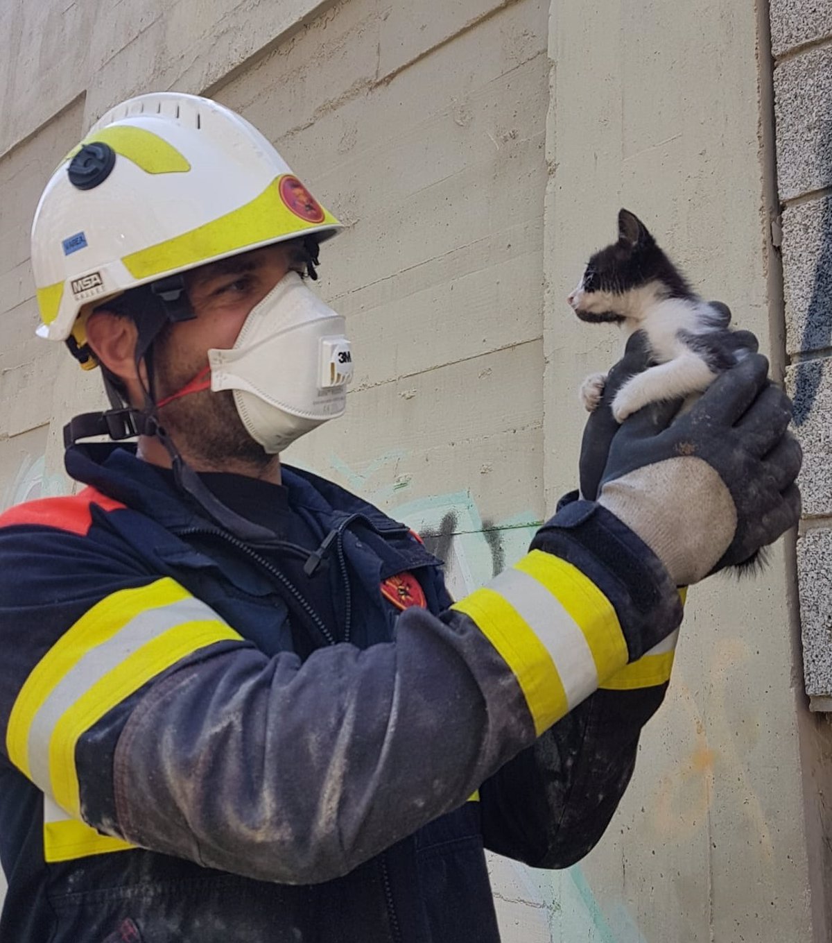 Los bomberos rescatan un gato atrapado en el interior de una tubería bajante de València