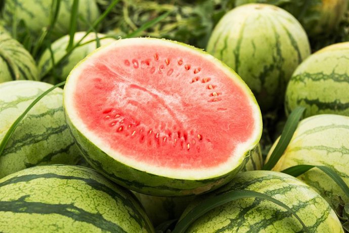 Mercadona prevé comprar 97.000 toneladas de sandía de origen nacional para la ca
