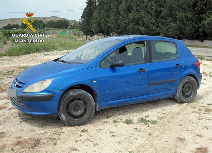 Imagen del turismo que conducía la investigada