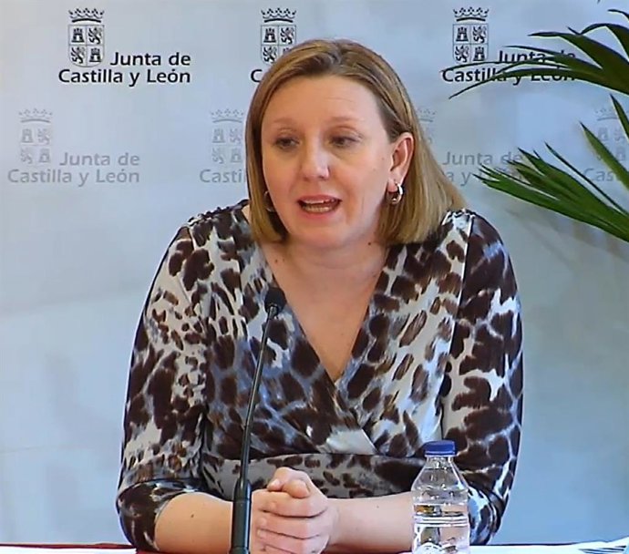 Captura de la comparecencia on line de la consejera Isabel Blanco.