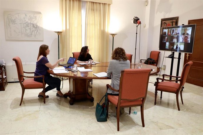 Reunión telemática de la presidenta del Govern, Francina Armengol, con los consells, Cort y la Felib