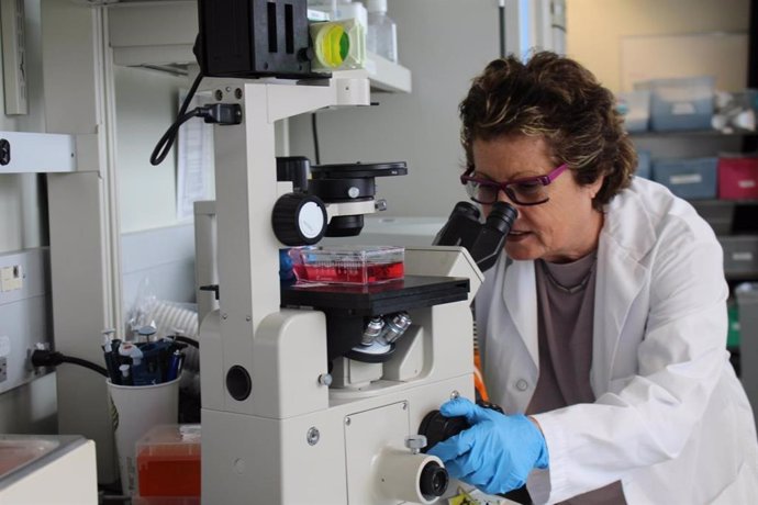 La doctora Eleanor Fish trabajando en su laboratorio en la Red de Salud de la Universidad de Toronto.
